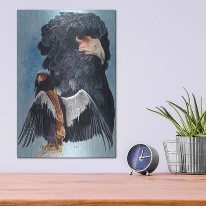 Luxe Metal Art 'Bateleur Eagle' by Barbara Keith, Metal Wall Art,12x16