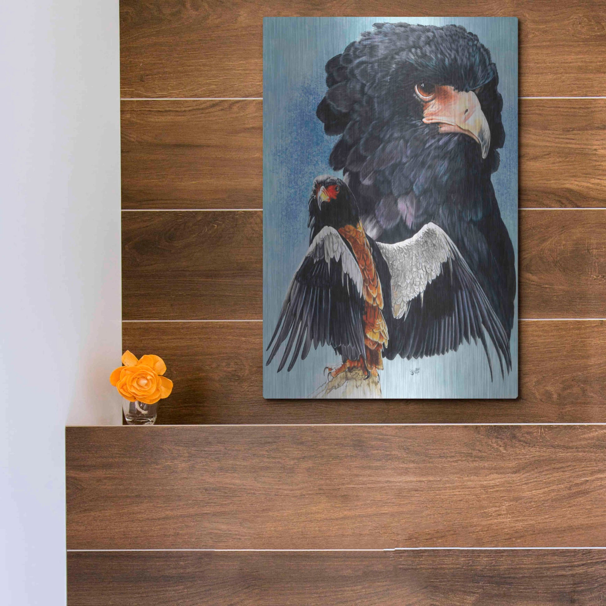 Luxe Metal Art 'Bateleur Eagle' by Barbara Keith, Metal Wall Art,12x16