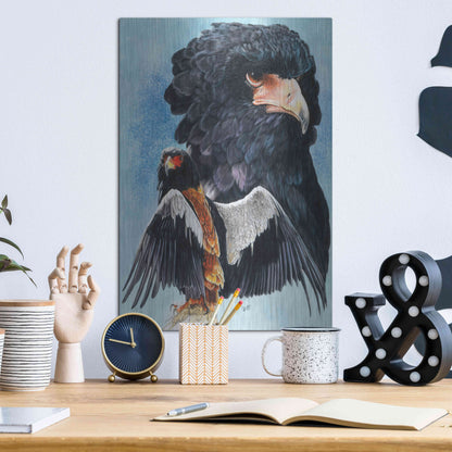 Luxe Metal Art 'Bateleur Eagle' by Barbara Keith, Metal Wall Art,12x16