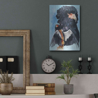 Luxe Metal Art 'Bateleur Eagle' by Barbara Keith, Metal Wall Art,12x16