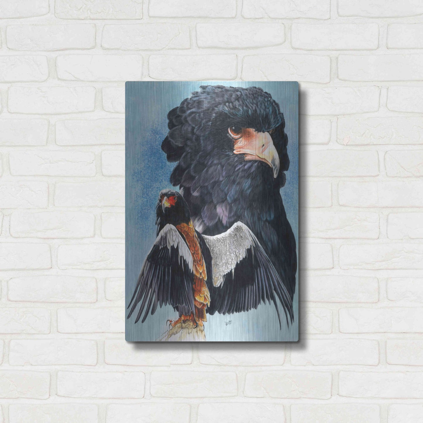 Luxe Metal Art 'Bateleur Eagle' by Barbara Keith, Metal Wall Art,16x24