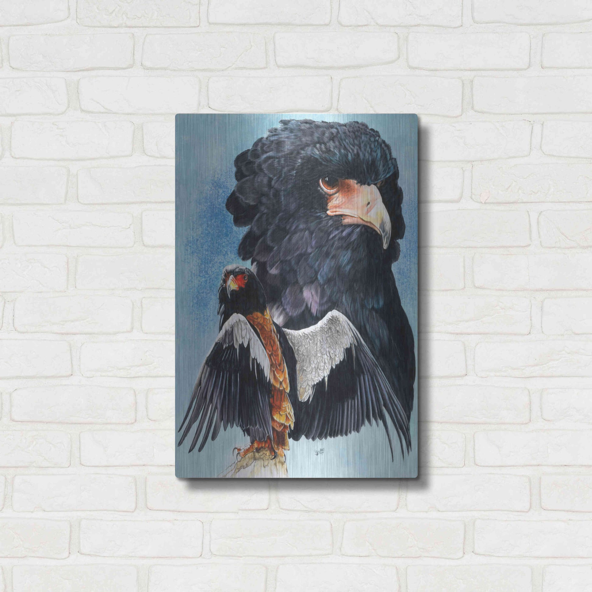 Luxe Metal Art 'Bateleur Eagle' by Barbara Keith, Metal Wall Art,16x24