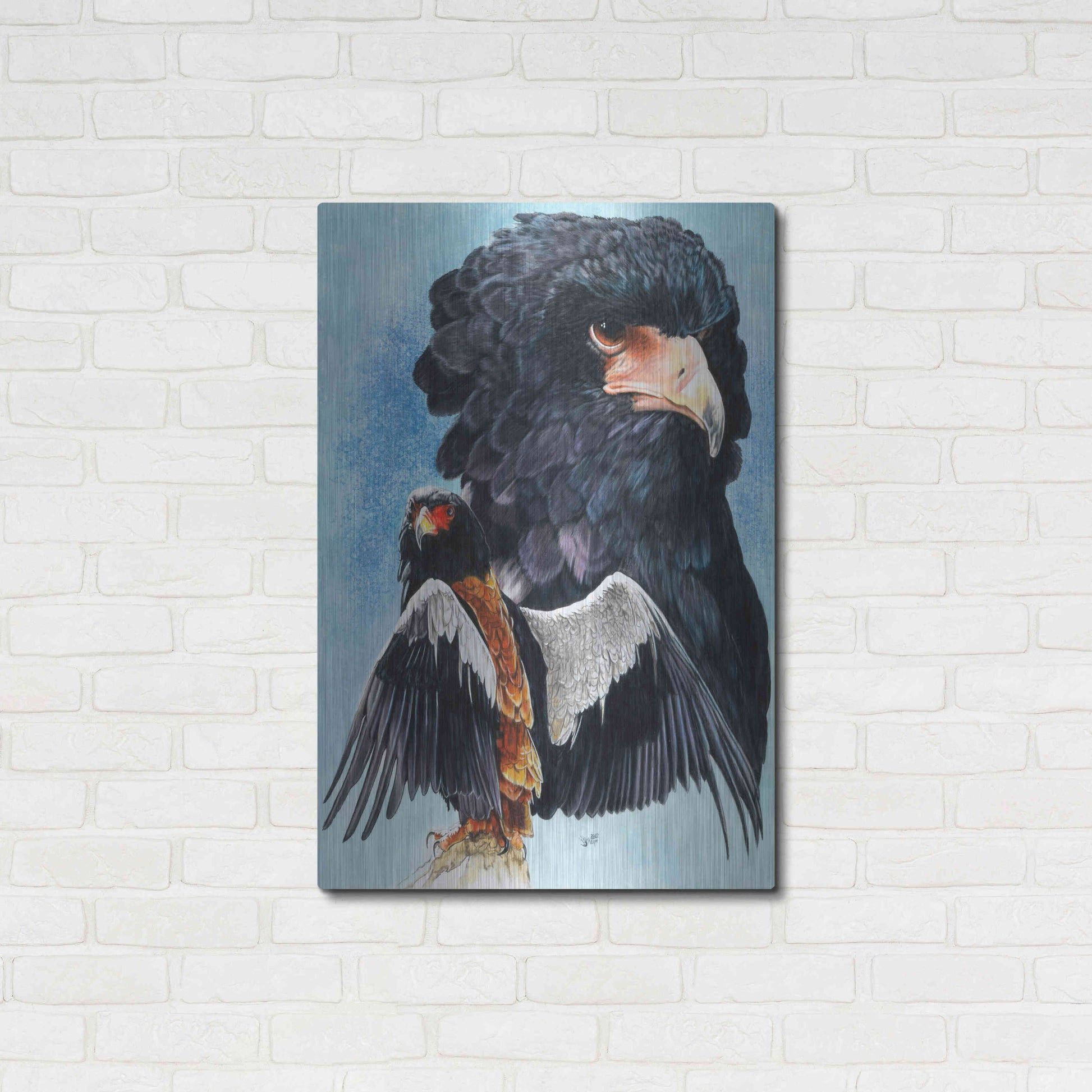 Luxe Metal Art 'Bateleur Eagle' by Barbara Keith, Metal Wall Art,24x36