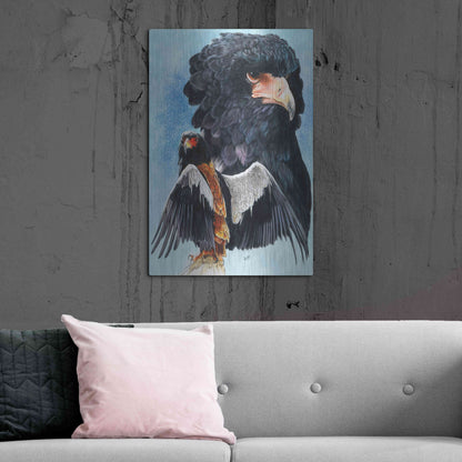 Luxe Metal Art 'Bateleur Eagle' by Barbara Keith, Metal Wall Art,24x36