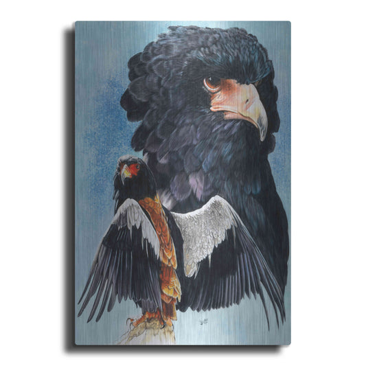 Luxe Metal Art 'Bateleur Eagle' by Barbara Keith, Metal Wall Art