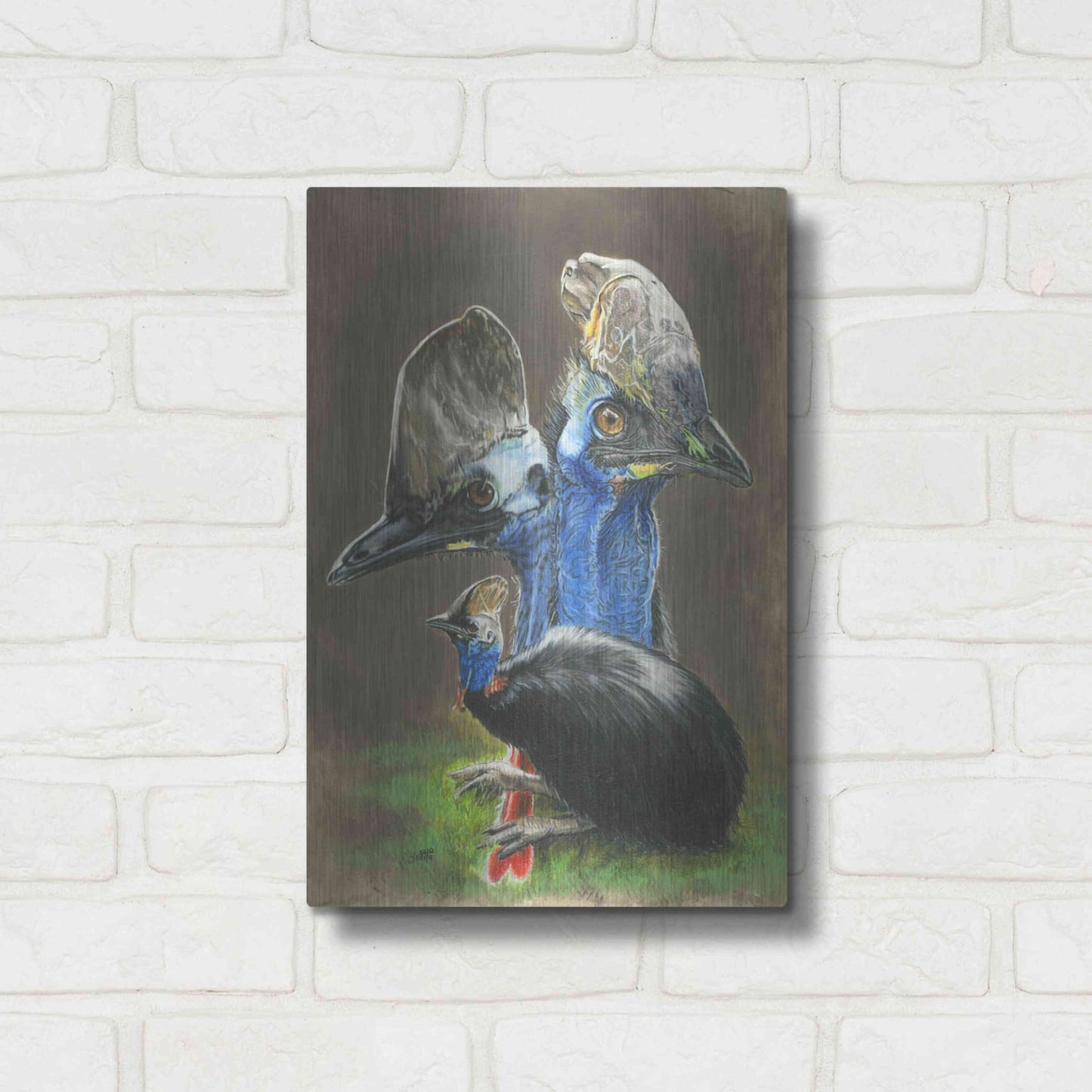 Luxe Metal Art 'Cassawary' by Barbara Keith, Metal Wall Art,12x16