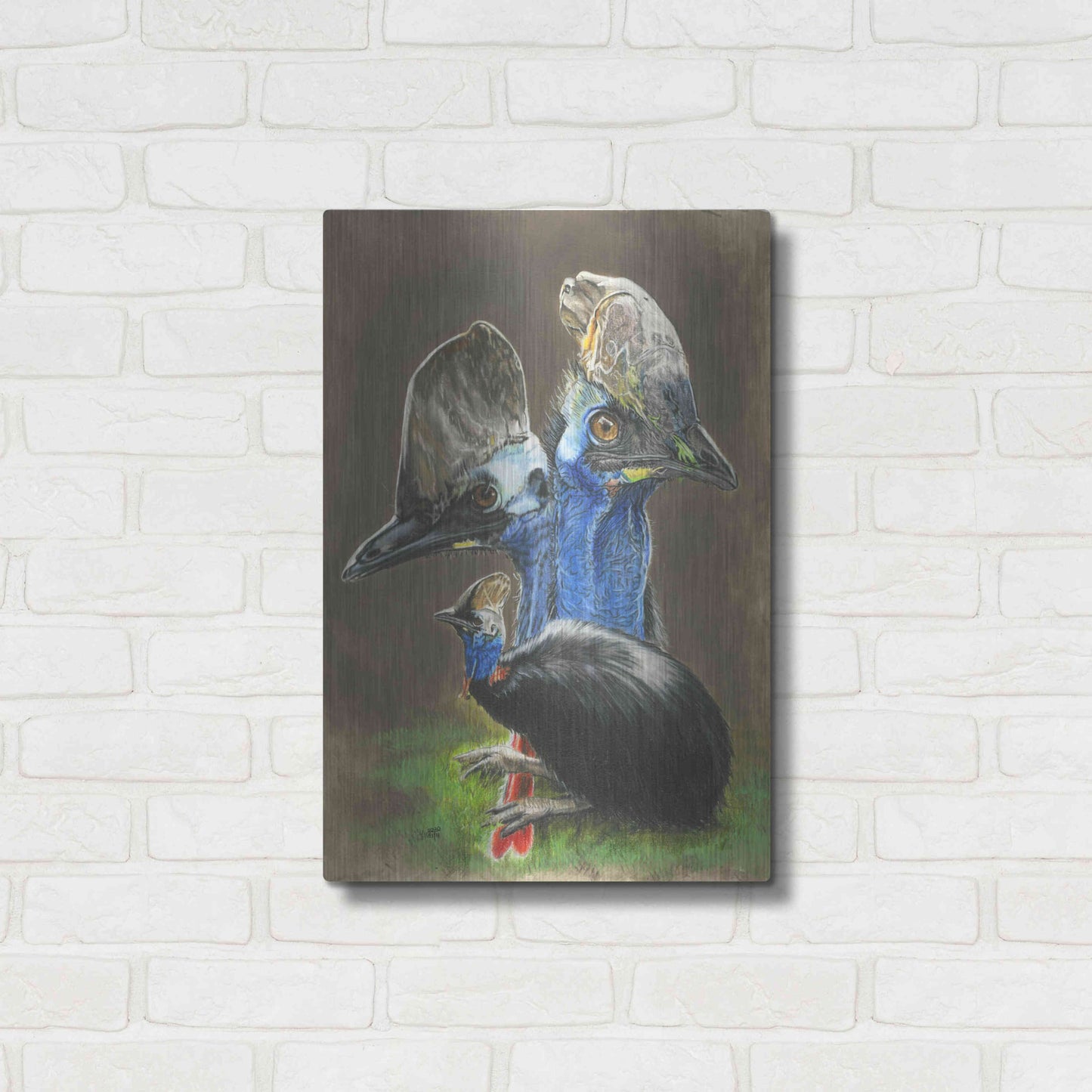 Luxe Metal Art 'Cassawary' by Barbara Keith, Metal Wall Art,16x24