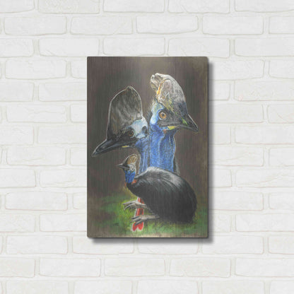 Luxe Metal Art 'Cassawary' by Barbara Keith, Metal Wall Art,16x24