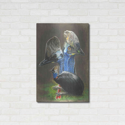 Luxe Metal Art 'Cassawary' by Barbara Keith, Metal Wall Art,24x36