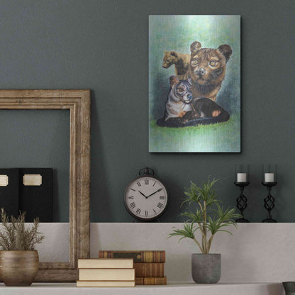 Luxe Metal Art 'Fossa' by Barbara Keith, Metal Wall Art,12x16