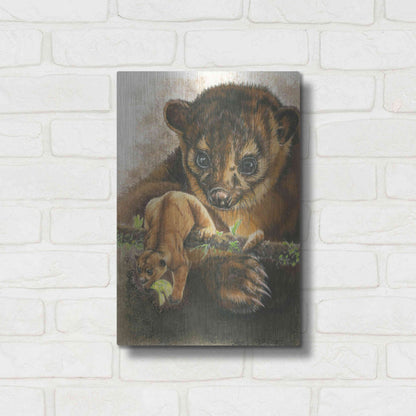 Luxe Metal Art 'Kinkajou' by Barbara Keith, Metal Wall Art,12x16