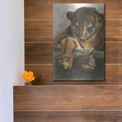 Luxe Metal Art 'Kinkajou' by Barbara Keith, Metal Wall Art,12x16