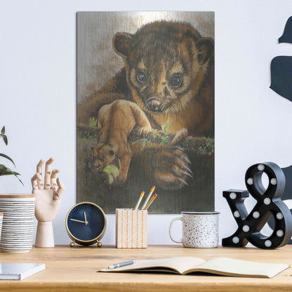 Luxe Metal Art 'Kinkajou' by Barbara Keith, Metal Wall Art,12x16