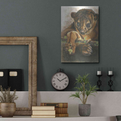 Luxe Metal Art 'Kinkajou' by Barbara Keith, Metal Wall Art,12x16