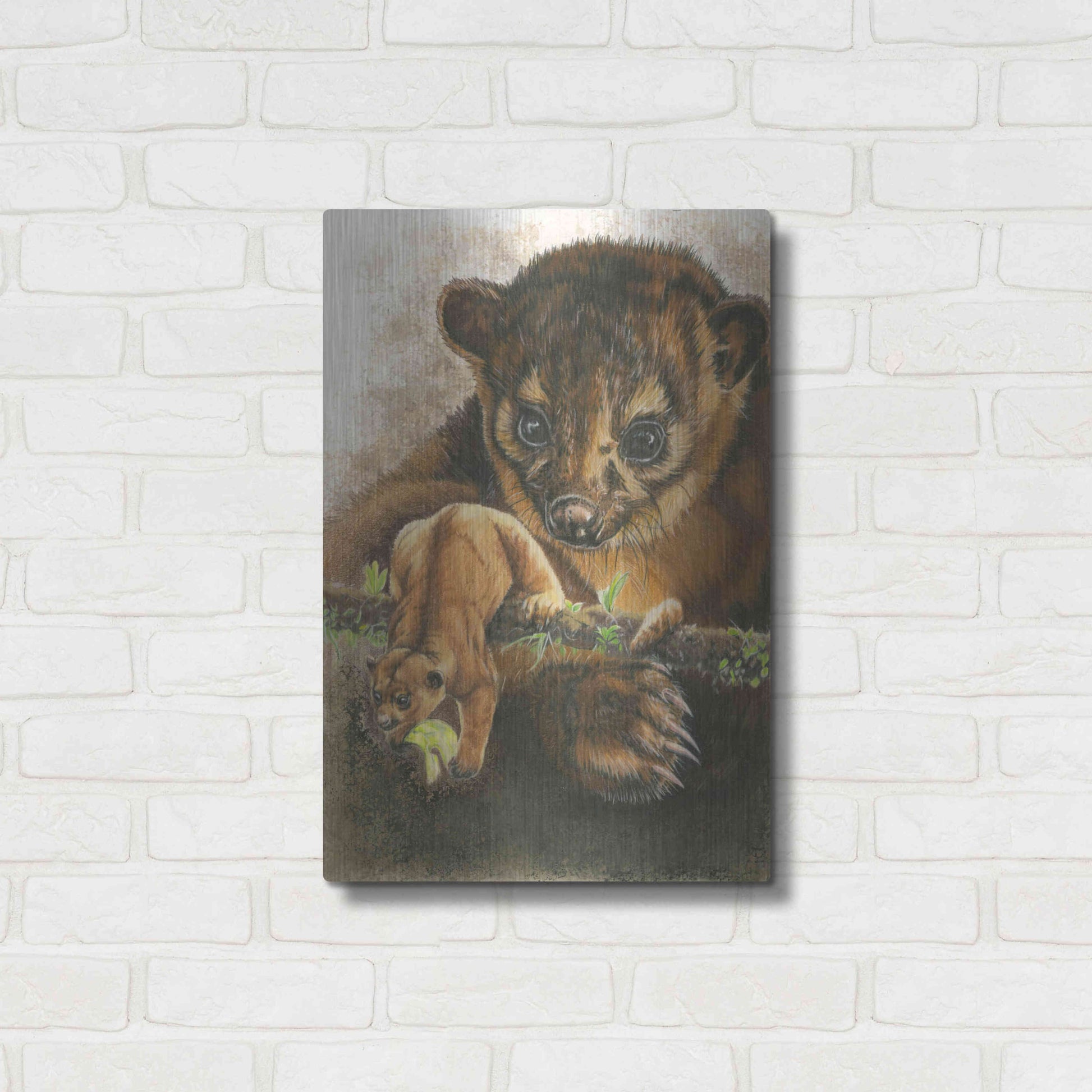 Luxe Metal Art 'Kinkajou' by Barbara Keith, Metal Wall Art,16x24