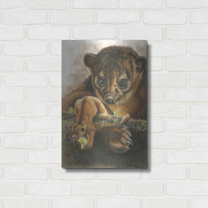 Luxe Metal Art 'Kinkajou' by Barbara Keith, Metal Wall Art,16x24