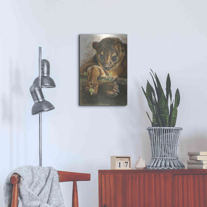 Luxe Metal Art 'Kinkajou' by Barbara Keith, Metal Wall Art,16x24