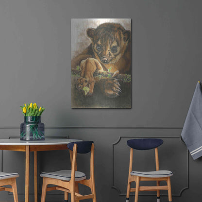 Luxe Metal Art 'Kinkajou' by Barbara Keith, Metal Wall Art,24x36