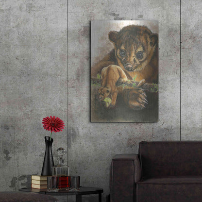 Luxe Metal Art 'Kinkajou' by Barbara Keith, Metal Wall Art,24x36