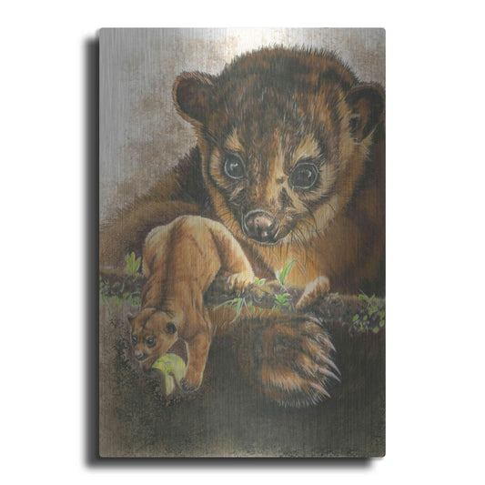 Luxe Metal Art 'Kinkajou' by Barbara Keith, Metal Wall Art