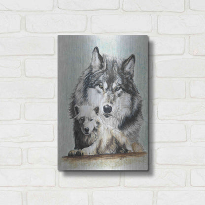 Luxe Metal Art 'Tundra Wolf' by Barbara Keith, Metal Wall Art,12x16