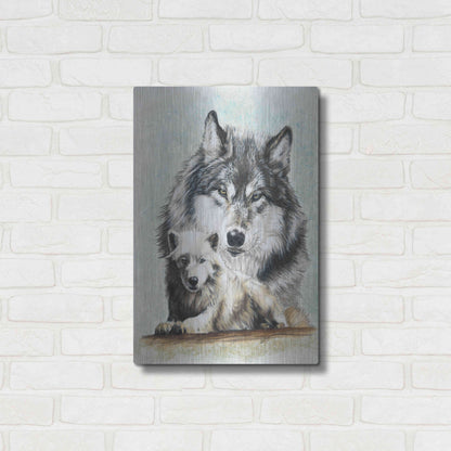 Luxe Metal Art 'Tundra Wolf' by Barbara Keith, Metal Wall Art,16x24