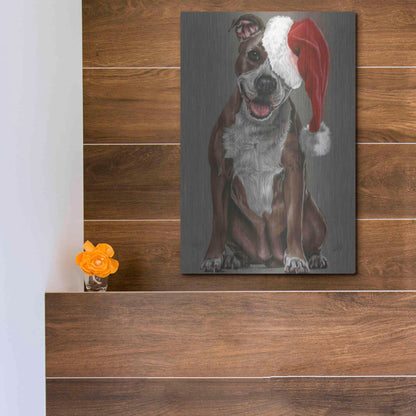 Luxe Metal Art 'Slightly Exuberant' by Barbara Keith, Metal Wall Art,12x16