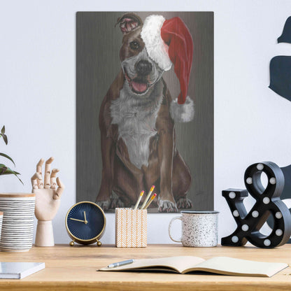 Luxe Metal Art 'Slightly Exuberant' by Barbara Keith, Metal Wall Art,12x16