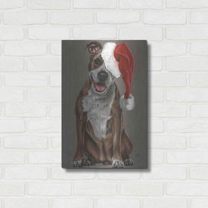 Luxe Metal Art 'Slightly Exuberant' by Barbara Keith, Metal Wall Art,16x24