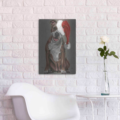 Luxe Metal Art 'Slightly Exuberant' by Barbara Keith, Metal Wall Art,16x24