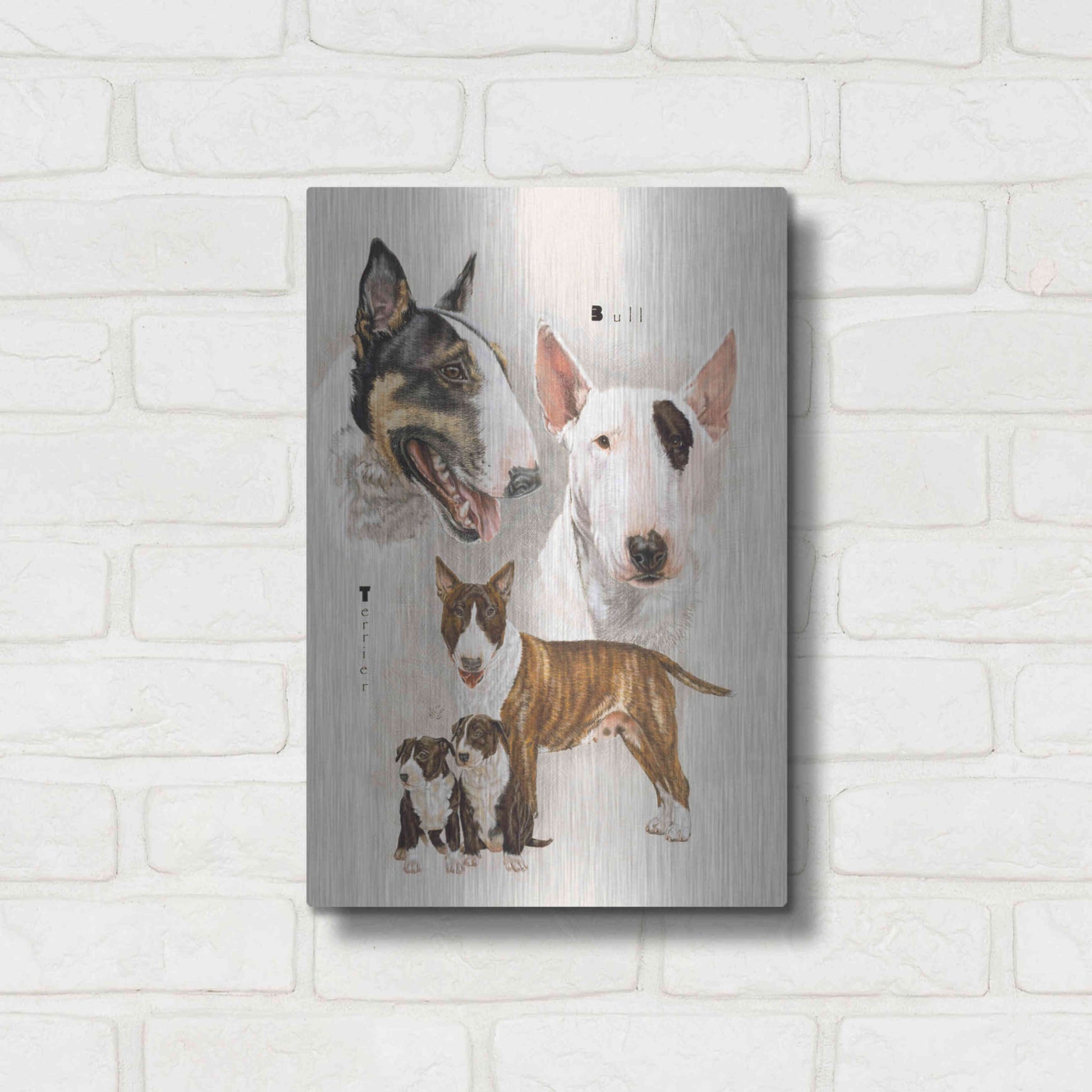 Luxe Metal Art 'Bull Terrier' by Barbara Keith, Metal Wall Art,12x16