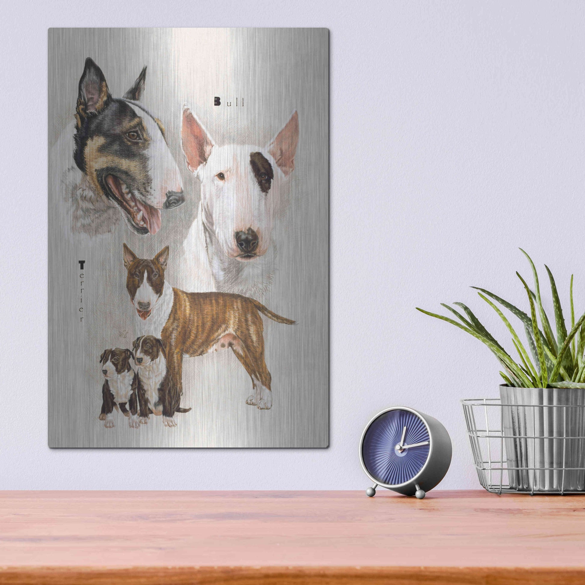 Luxe Metal Art 'Bull Terrier' by Barbara Keith, Metal Wall Art,12x16