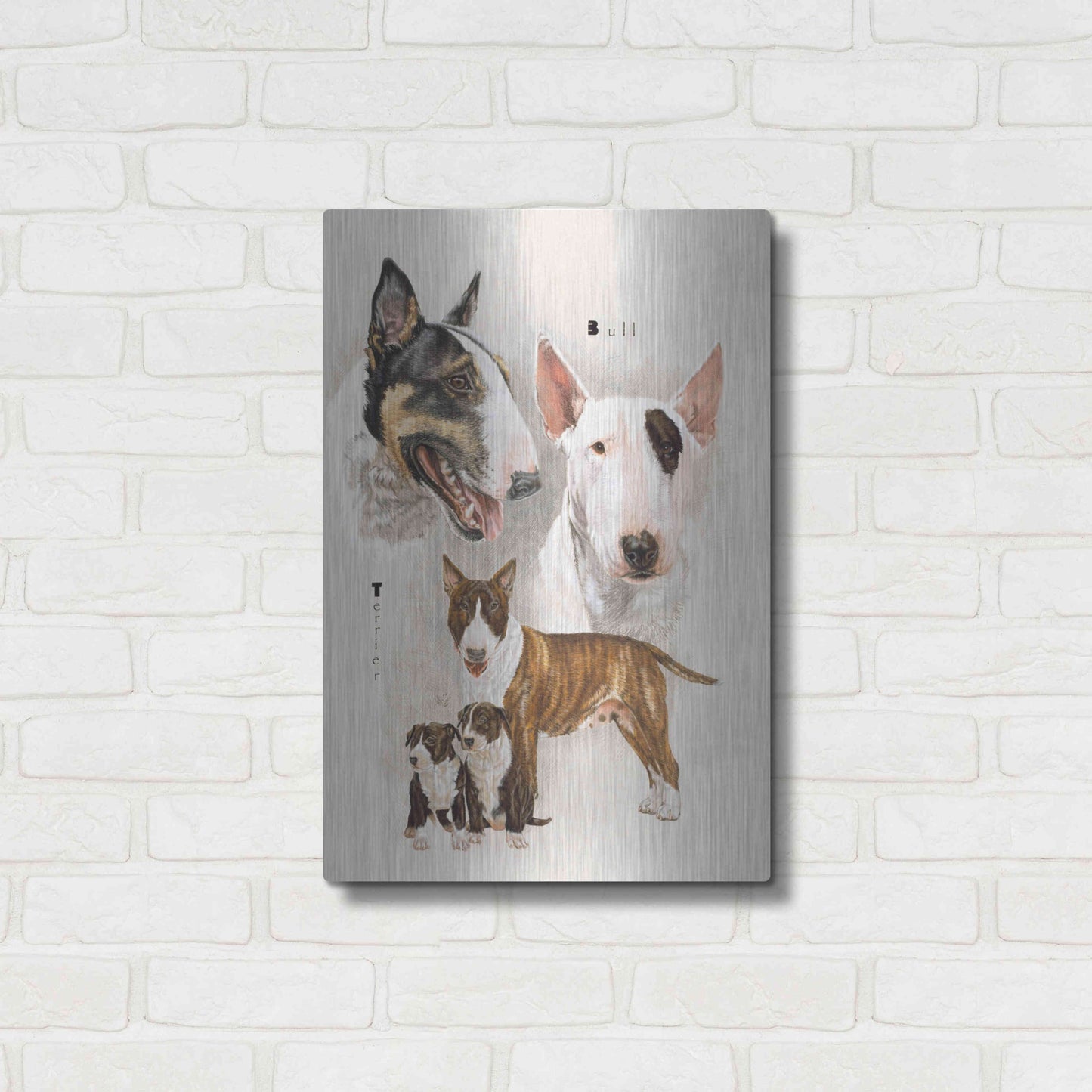 Luxe Metal Art 'Bull Terrier' by Barbara Keith, Metal Wall Art,16x24