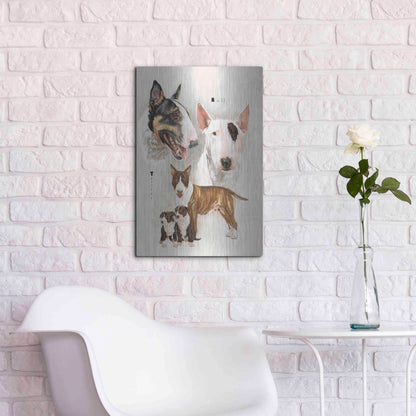 Luxe Metal Art 'Bull Terrier' by Barbara Keith, Metal Wall Art,16x24