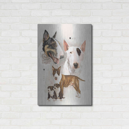 Luxe Metal Art 'Bull Terrier' by Barbara Keith, Metal Wall Art,24x36