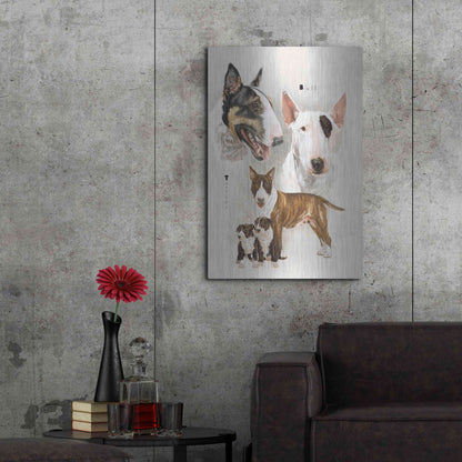 Luxe Metal Art 'Bull Terrier' by Barbara Keith, Metal Wall Art,24x36