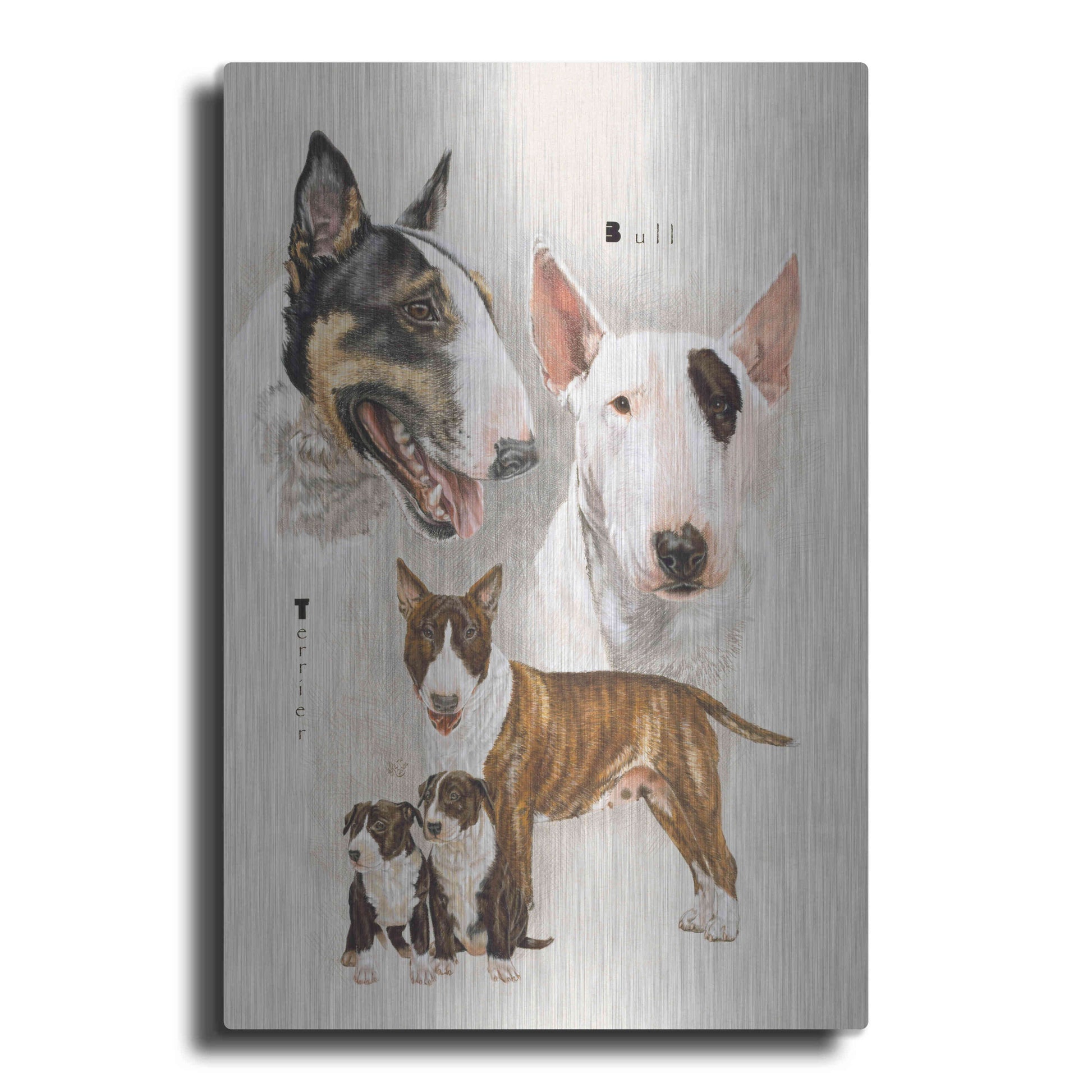 Luxe Metal Art 'Bull Terrier' by Barbara Keith, Metal Wall Art