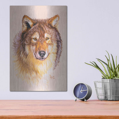Luxe Metal Art 'Lobo' by Barbara Keith, Metal Wall Art,12x16