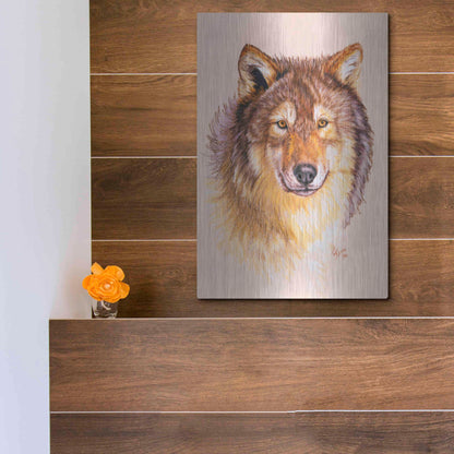 Luxe Metal Art 'Lobo' by Barbara Keith, Metal Wall Art,12x16