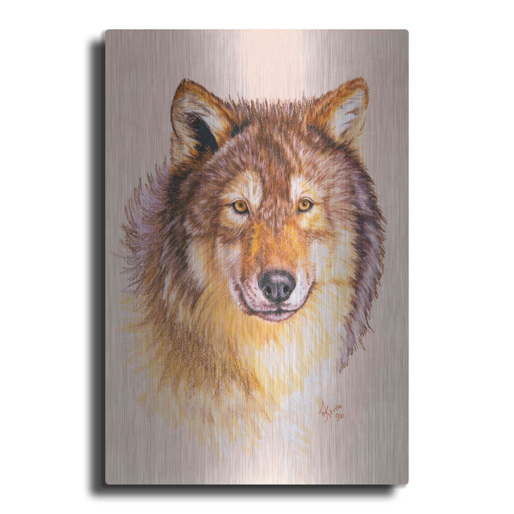 Luxe Metal Art 'Lobo' by Barbara Keith, Metal Wall Art