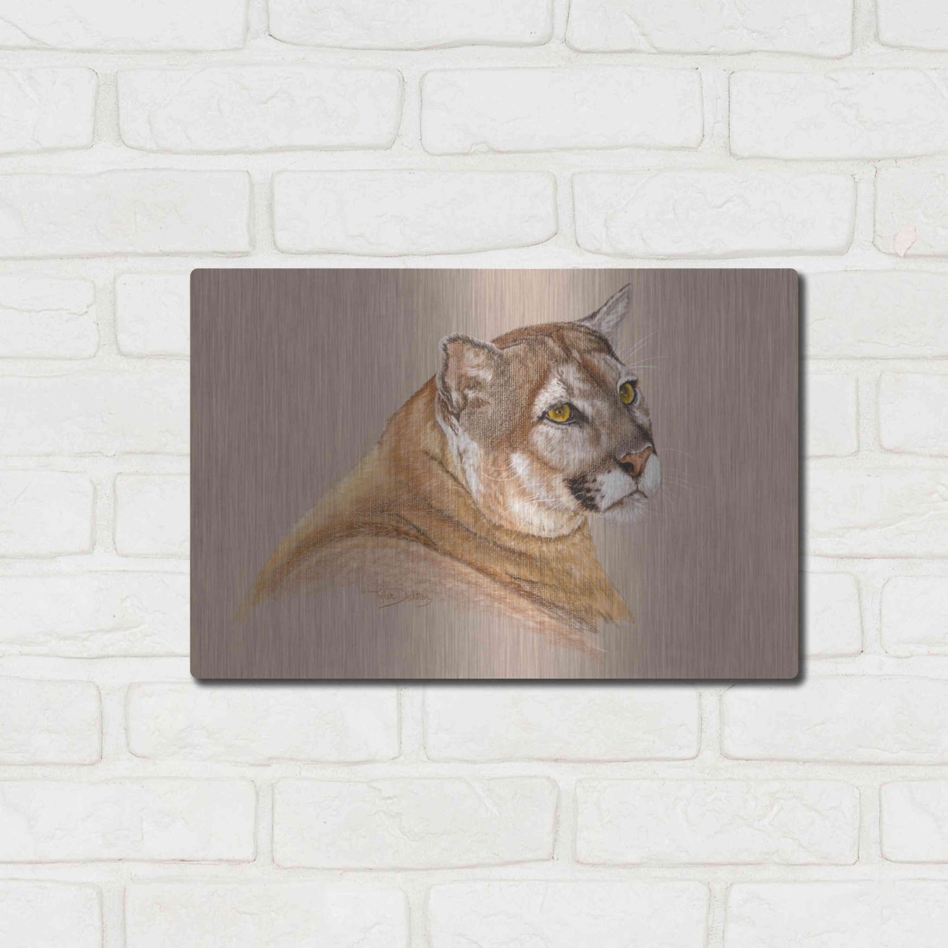 Luxe Metal Art 'Cougar' by Barbara Keith, Metal Wall Art,16x12