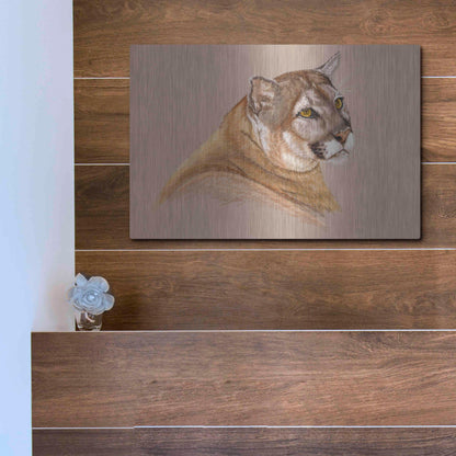 Luxe Metal Art 'Cougar' by Barbara Keith, Metal Wall Art,16x12