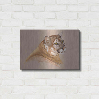 Luxe Metal Art 'Cougar' by Barbara Keith, Metal Wall Art,24x16