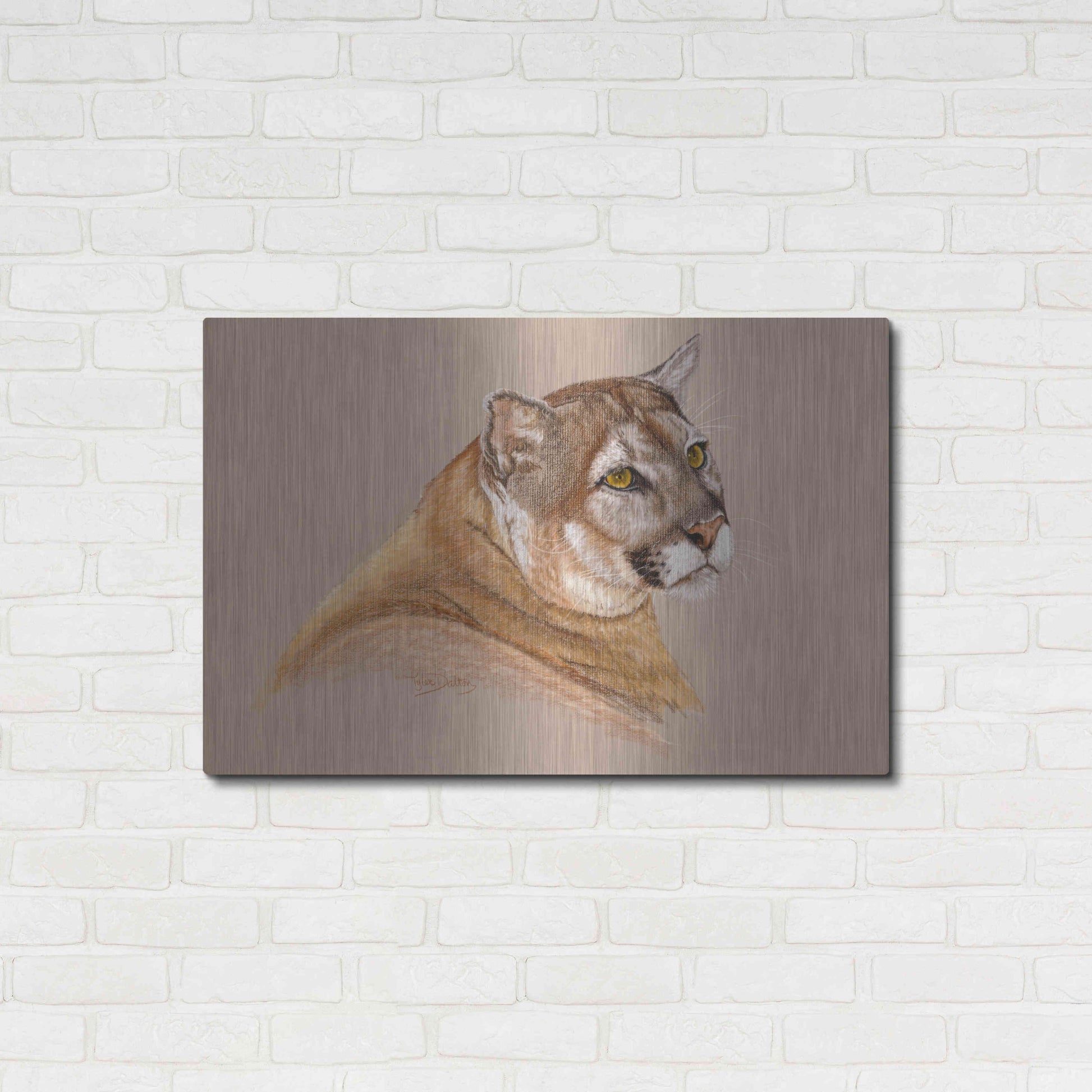Luxe Metal Art 'Cougar' by Barbara Keith, Metal Wall Art,36x24