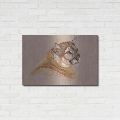Luxe Metal Art 'Cougar' by Barbara Keith, Metal Wall Art,36x24