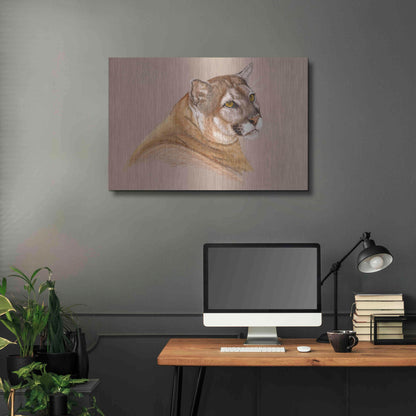 Luxe Metal Art 'Cougar' by Barbara Keith, Metal Wall Art,36x24