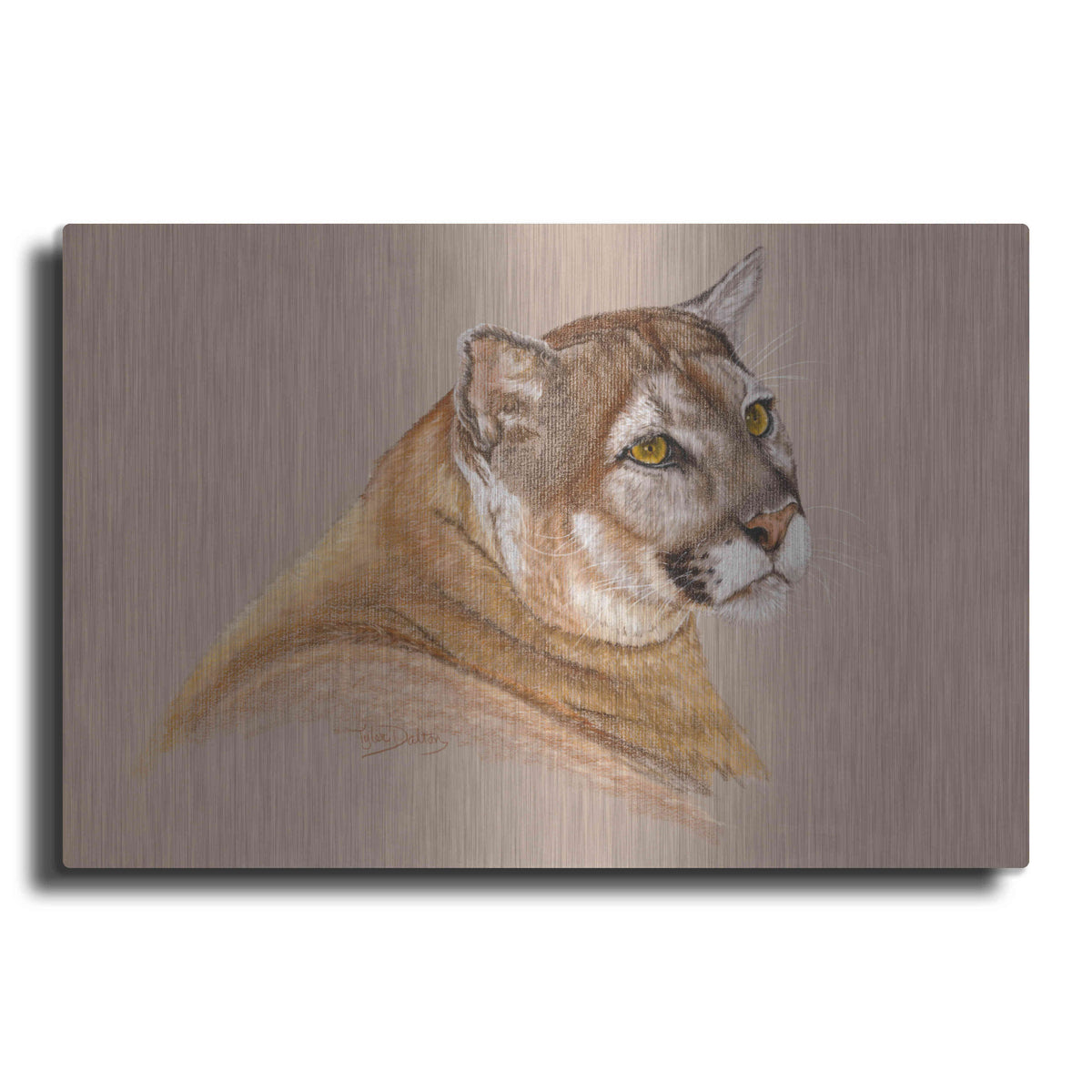 Luxe Metal Art 'Cougar' by Barbara Keith, Metal Wall Art