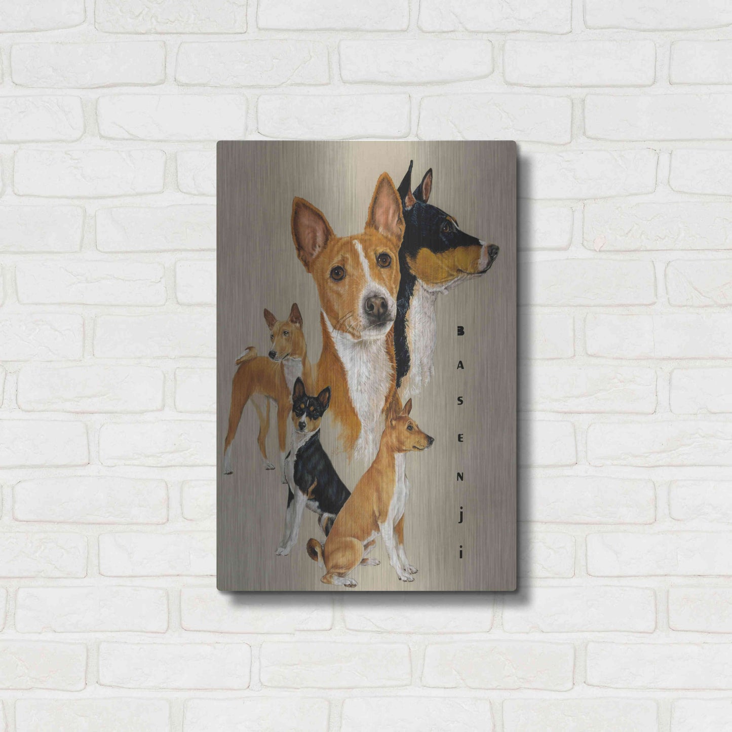 Luxe Metal Art 'Basenji' by Barbara Keith, Metal Wall Art,16x24