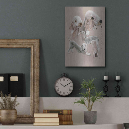 Luxe Metal Art 'Bedlington Terrier' by Barbara Keith, Metal Wall Art,12x16