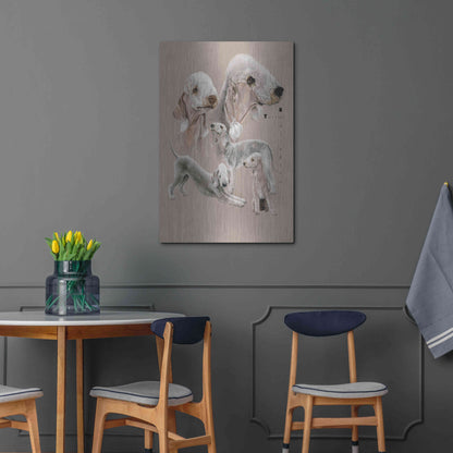 Luxe Metal Art 'Bedlington Terrier' by Barbara Keith, Metal Wall Art,24x36